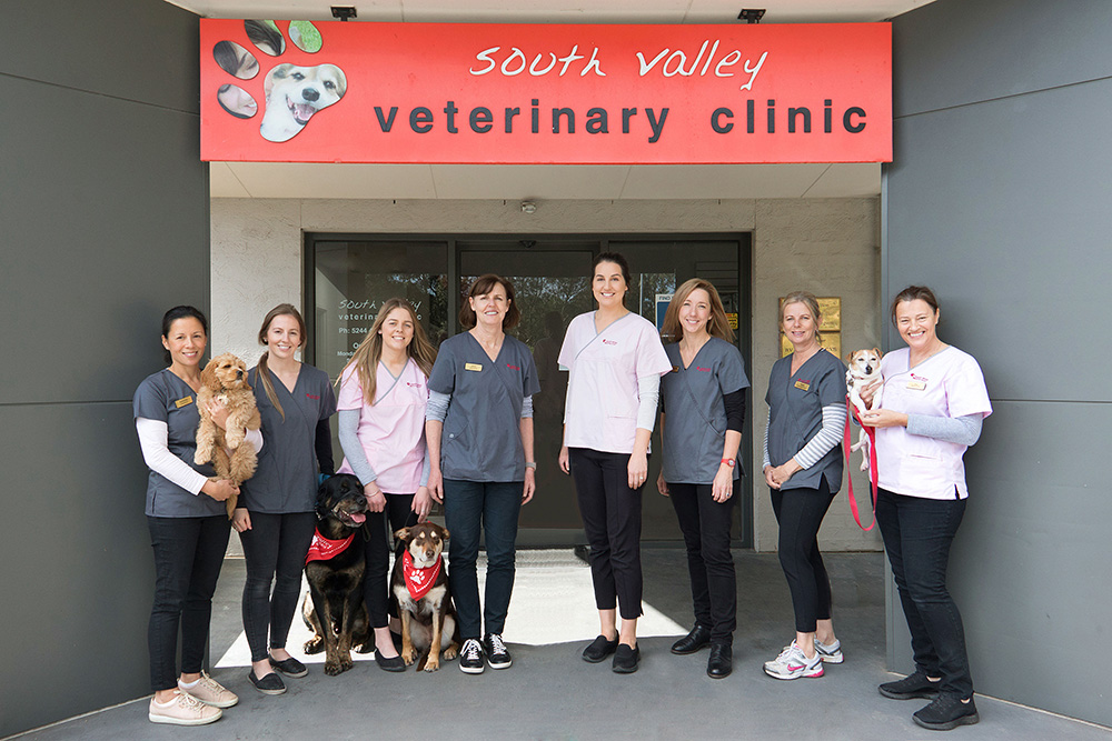 South valley sales veterinary clinic